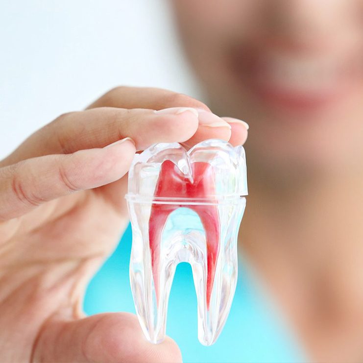 ENDODONCIA ENDODONCIA